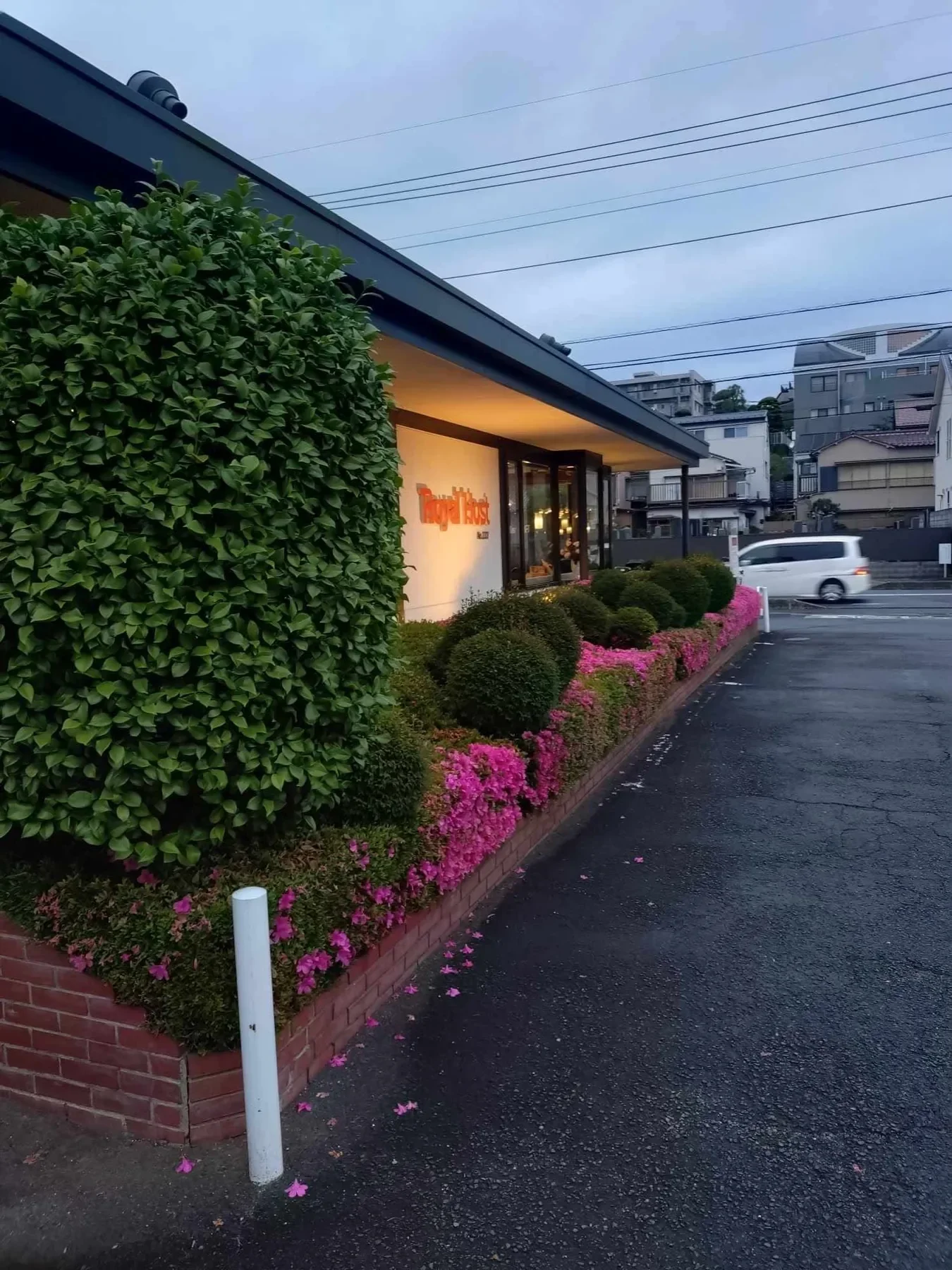 建物入口まわりの植栽