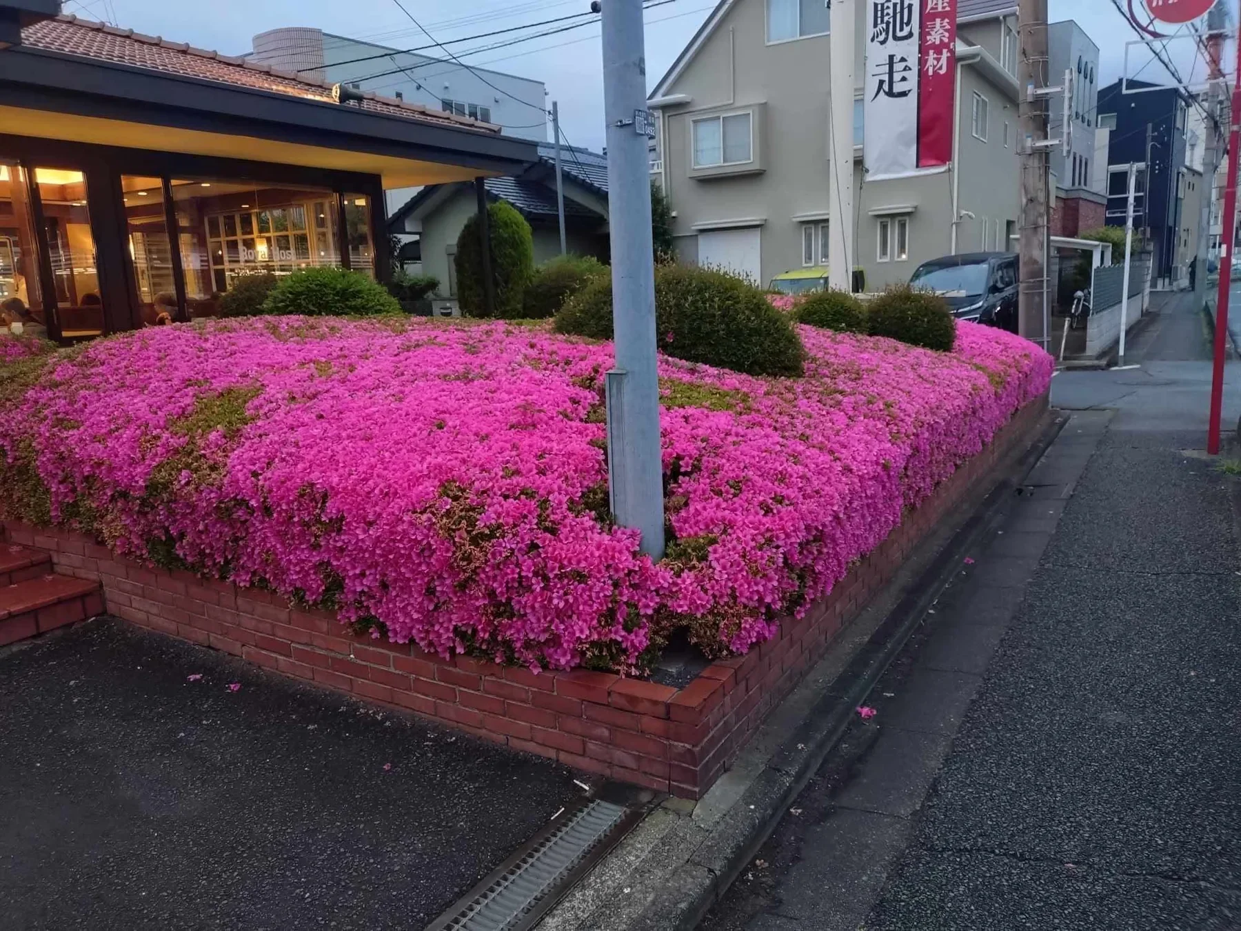 きれいに整えられた植栽